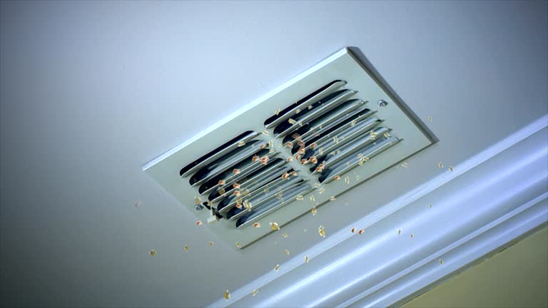 Best Air Duct Cleaning Company Near Me  in East Grand Forks, MN