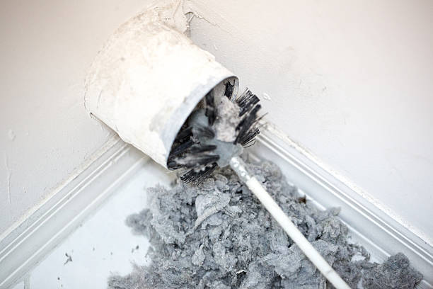 Best Professional Duct Cleaning Services  in East Grand Forks, MN